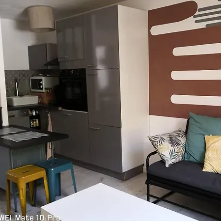 Avec Jardin Privatif Centre Appartement