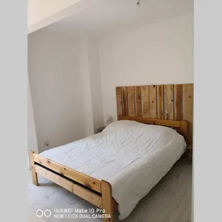 Avec Jardin Privatif Centre Appartement